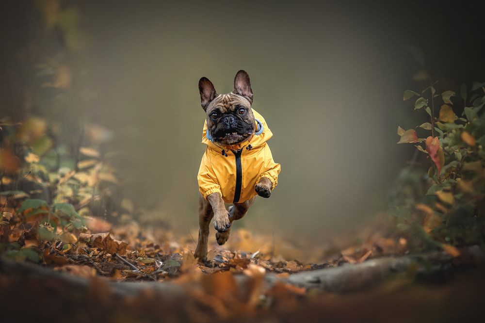 Photograph by Елена Самусенкова