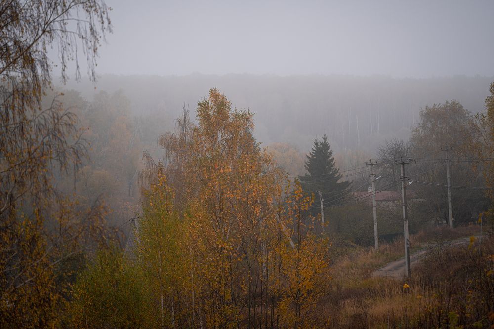 Photograph by Елена