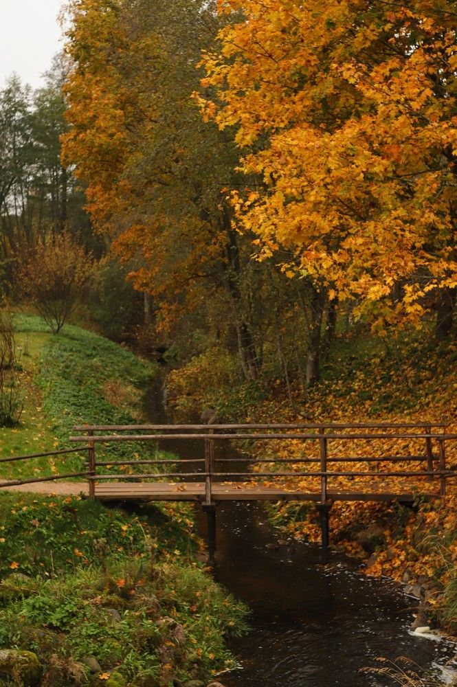 Photograph by Ася Радченко