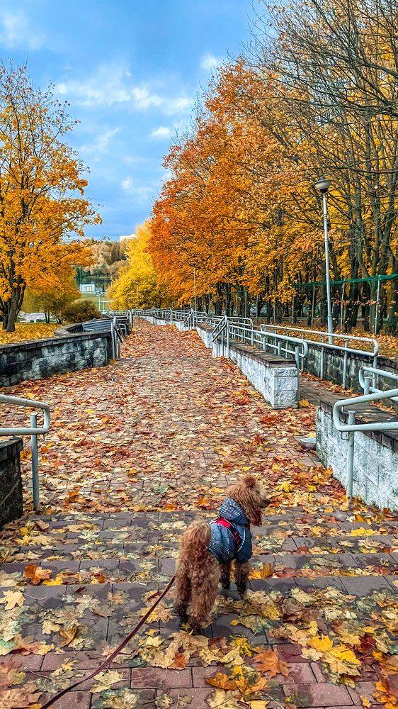 Photograph by Людмила Казак