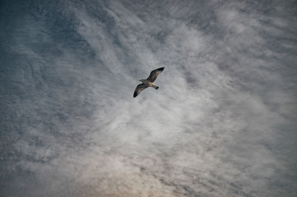 Photograph by Наталия Софич