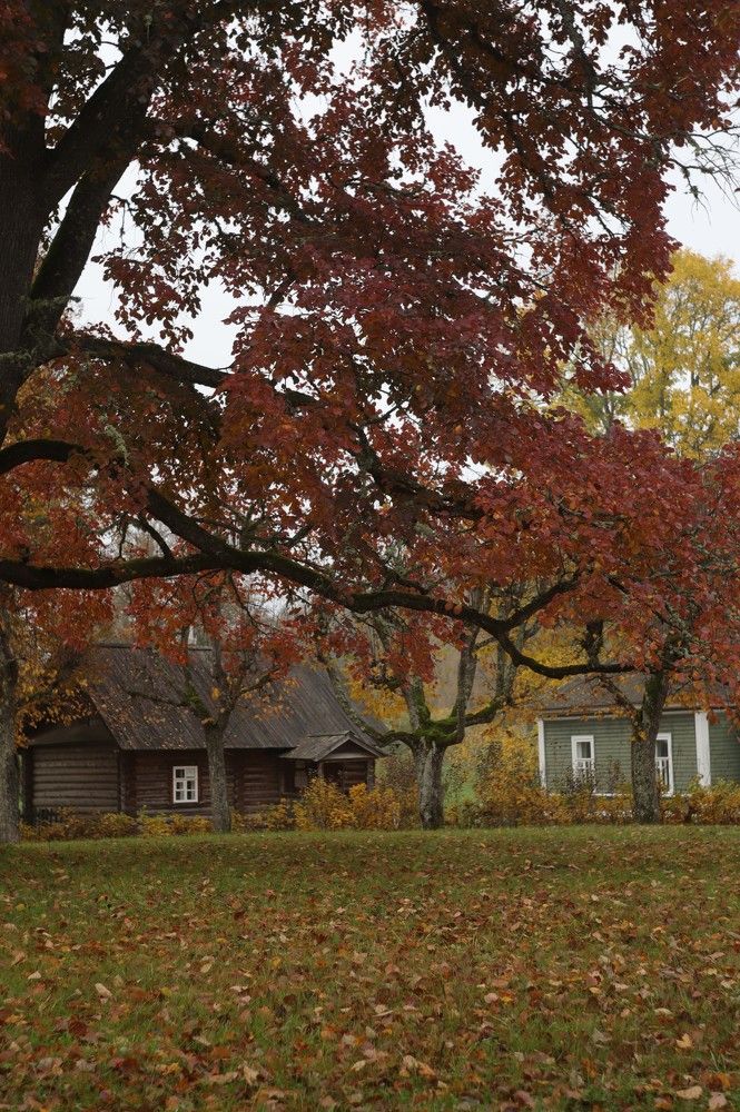 Photograph by Ася Радченко