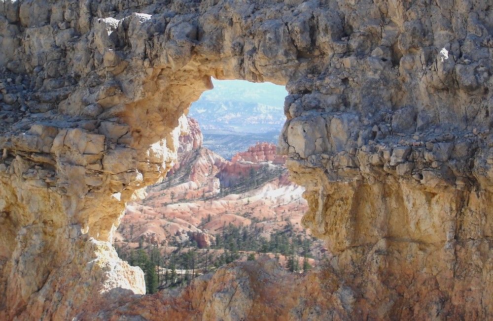 Photograph by Ирина Орлова