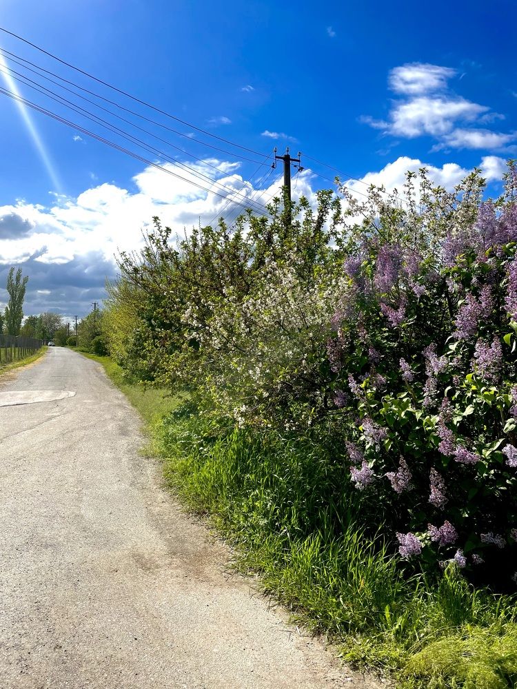 Photograph by Полина