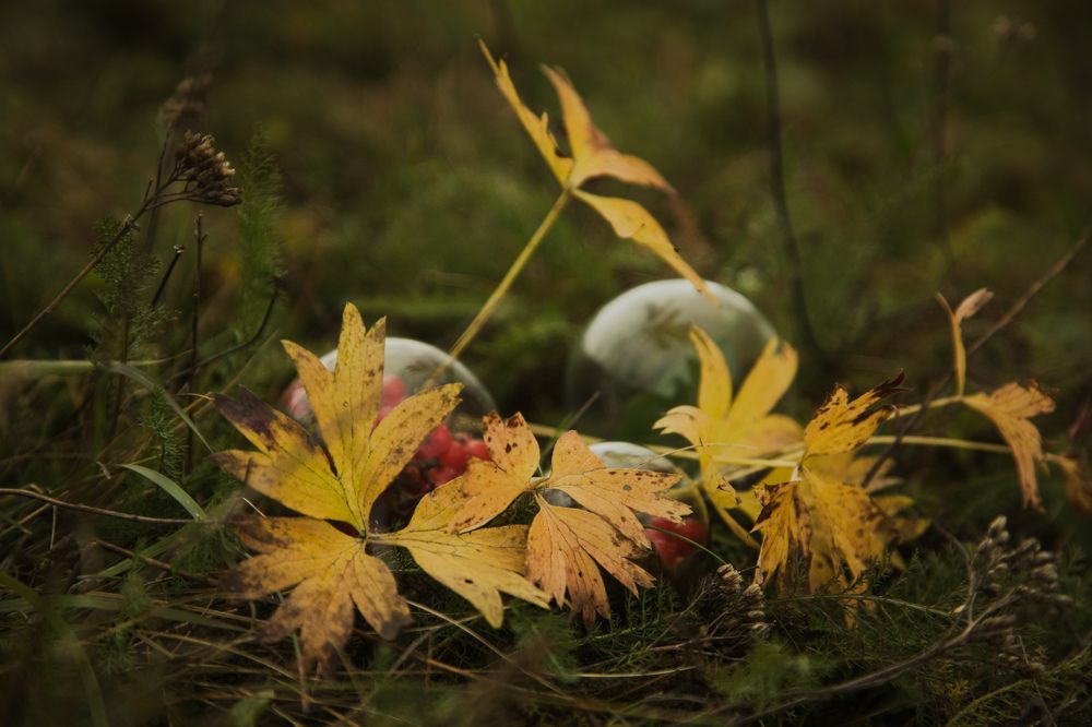 Photograph by Владимир Пилюков