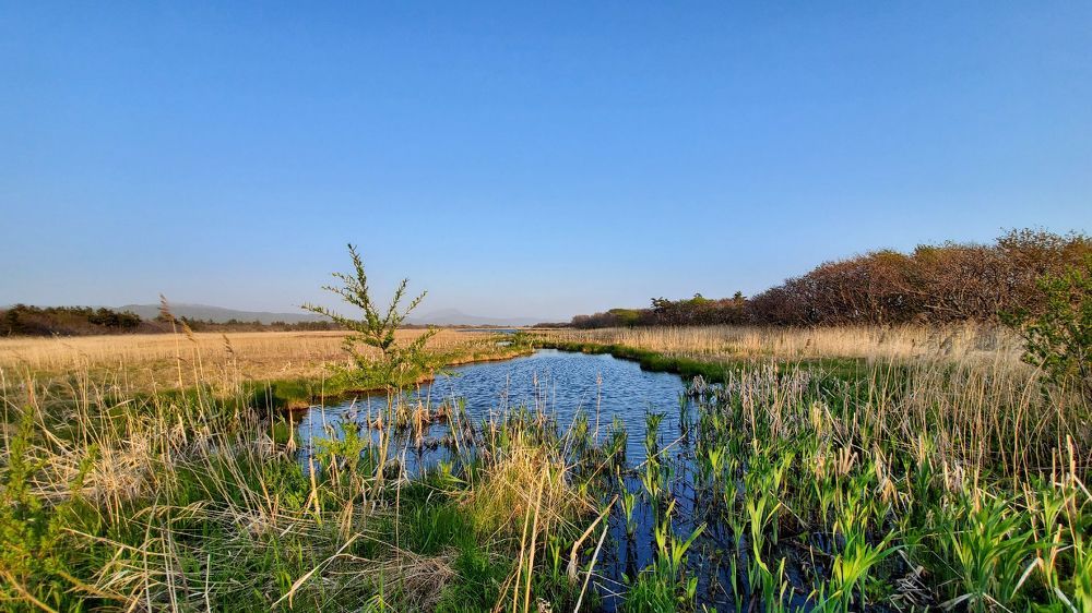 Photograph by Антон