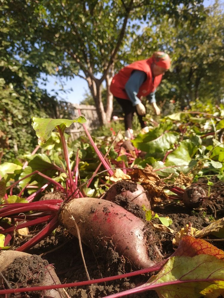 Photograph by Роза