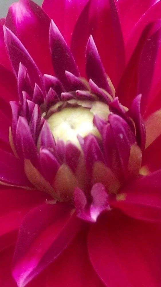 Photograph by Neel Bonna