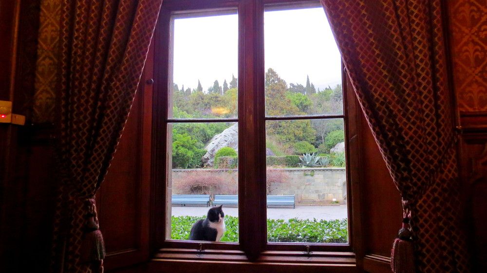 Photograph by Елена Казарина