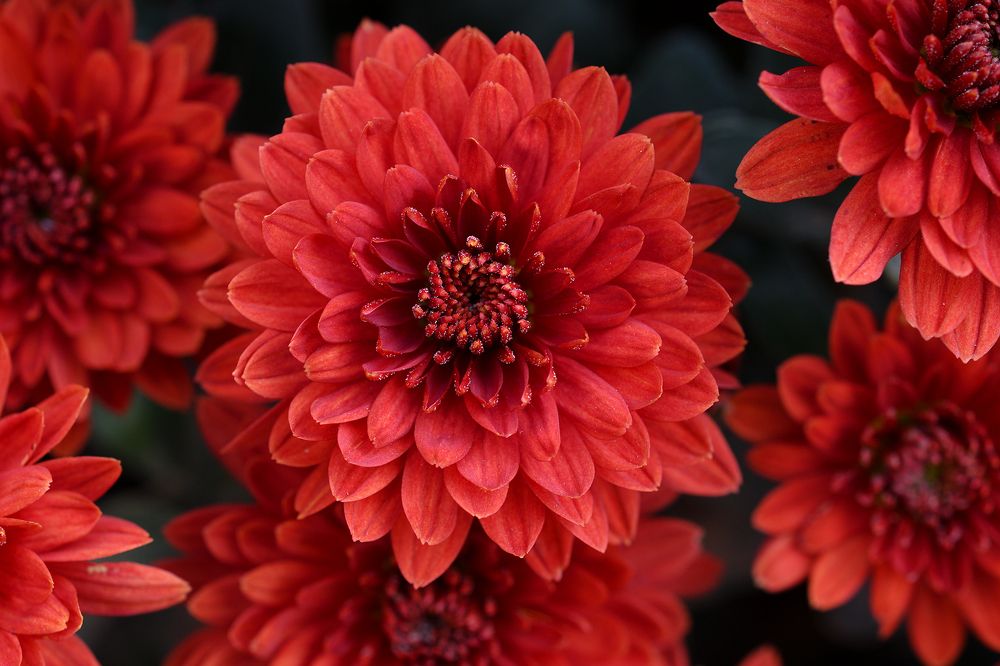 Photograph by Анатолий Садовский