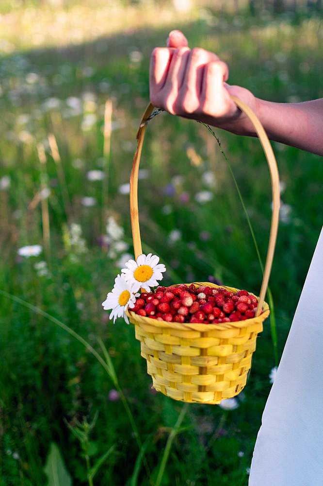Photograph by Назмутдинова Сауия