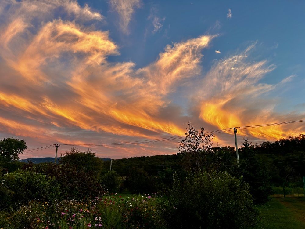 Photograph by Елена Власова