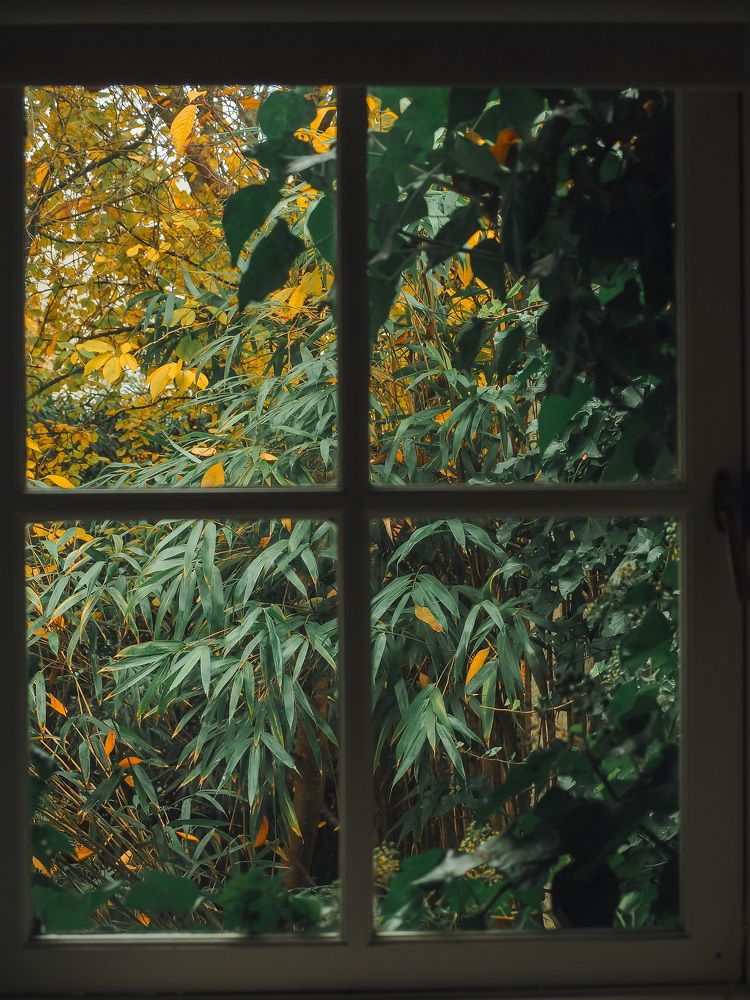 Photograph by Ирина Протченко