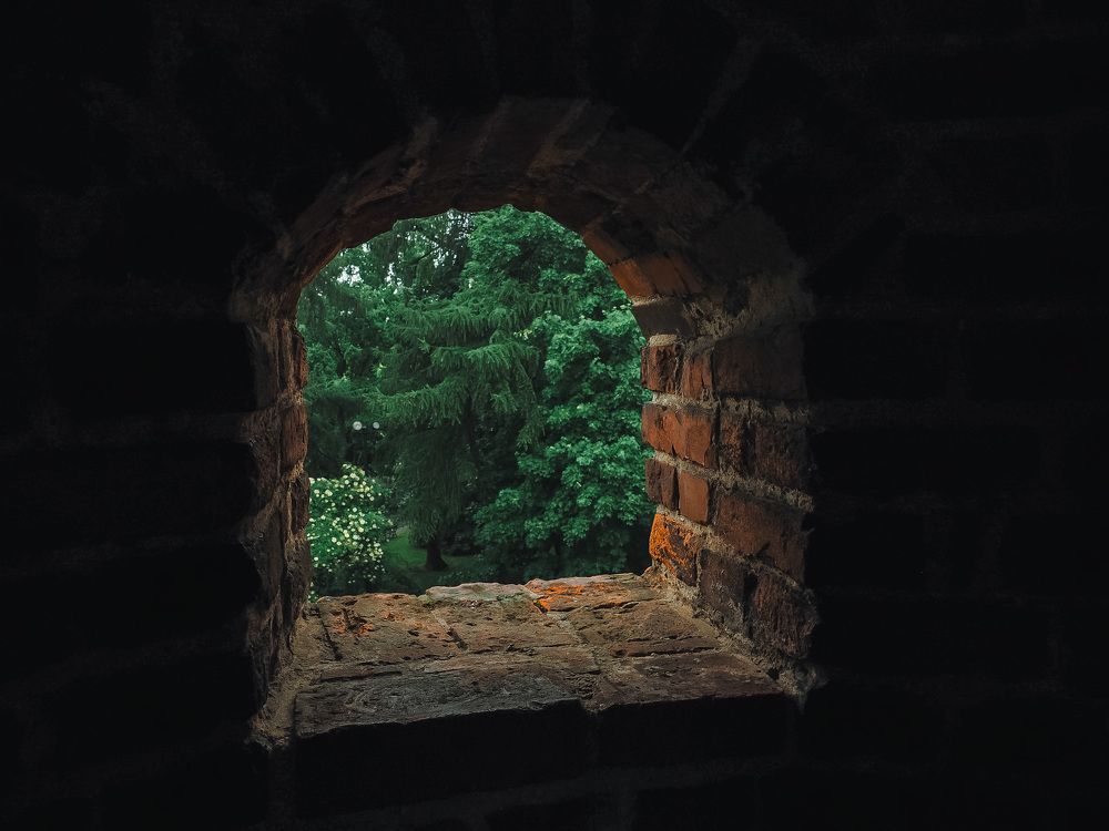 Photograph by Ирина Протченко