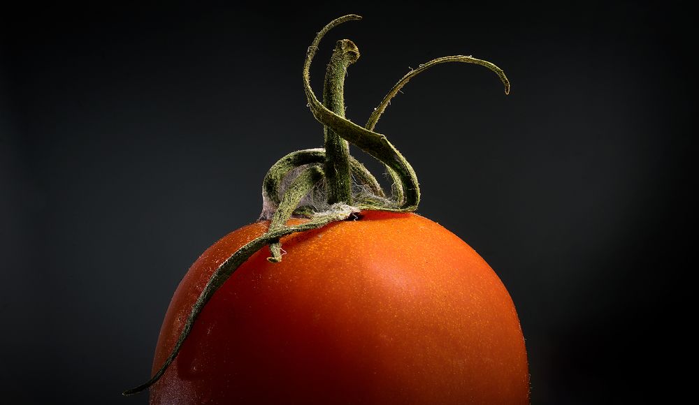 Photograph by Boris Bekelman