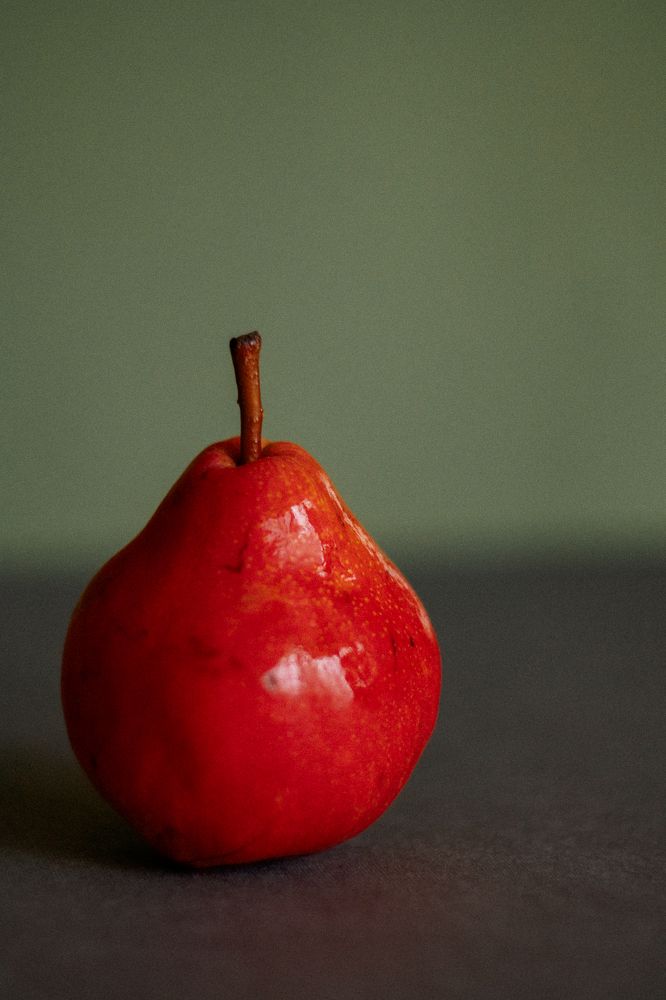 Photograph by Elena Kilina