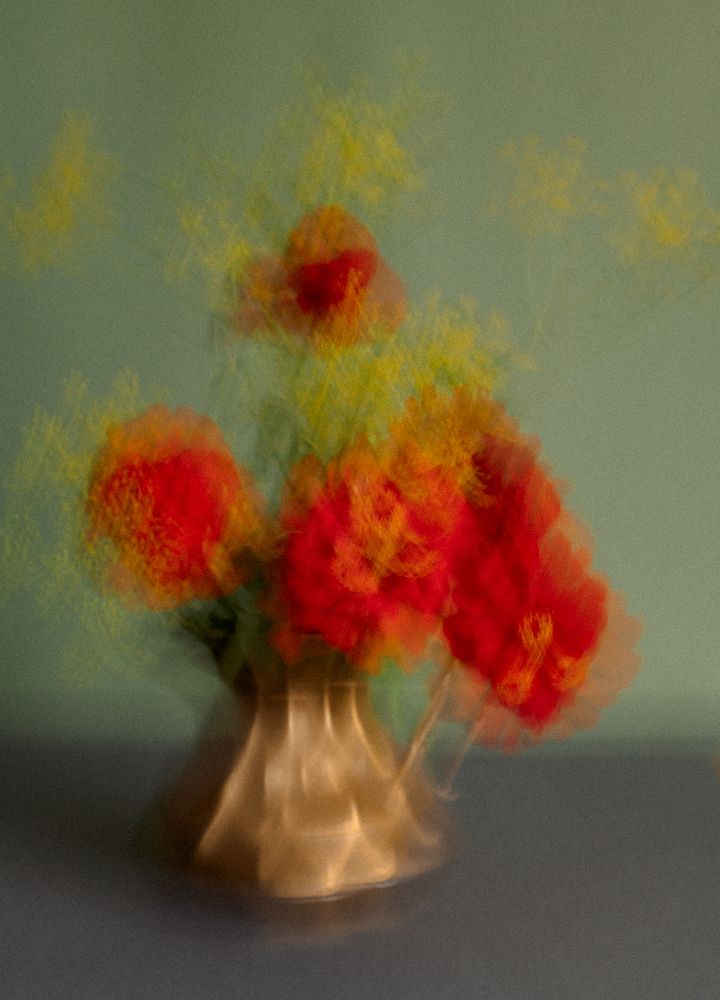 Photograph by Elena Kilina