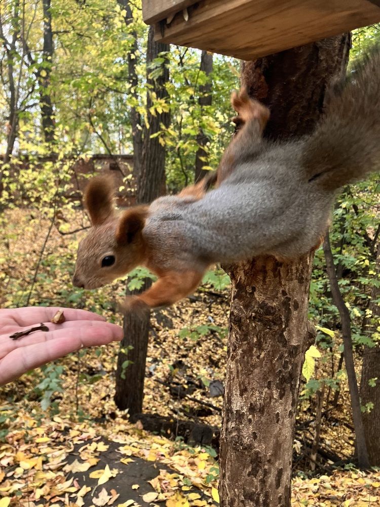 Photograph by Мария Карпычева