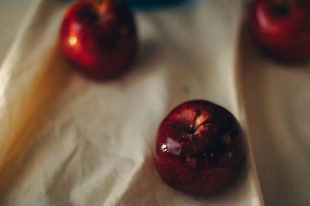 Photograph by Elena Kilina