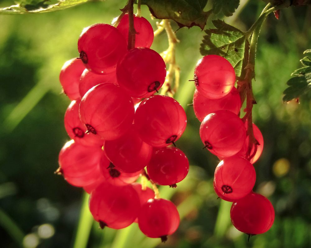 Photograph by Татьяна Романова