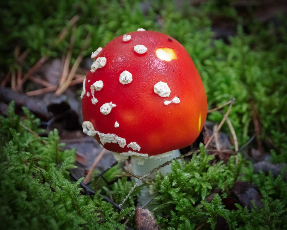 Photograph by Татьяна Романова