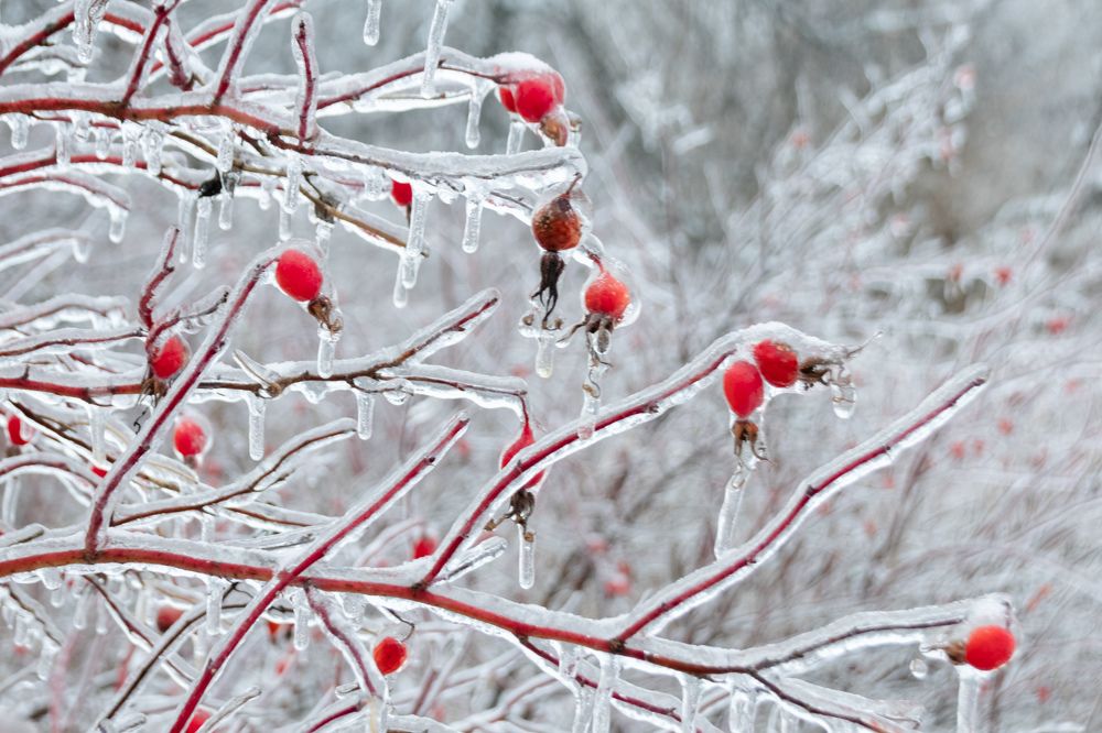 Photograph by Татьяна Романова