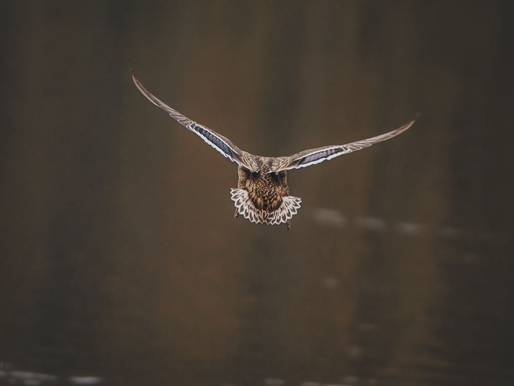 Photograph by Мария Клещенко