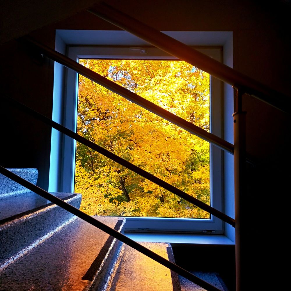 Фотография автора Maks Lanister