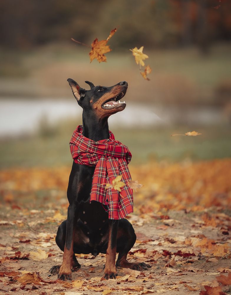 Photograph by Мария Клещенко