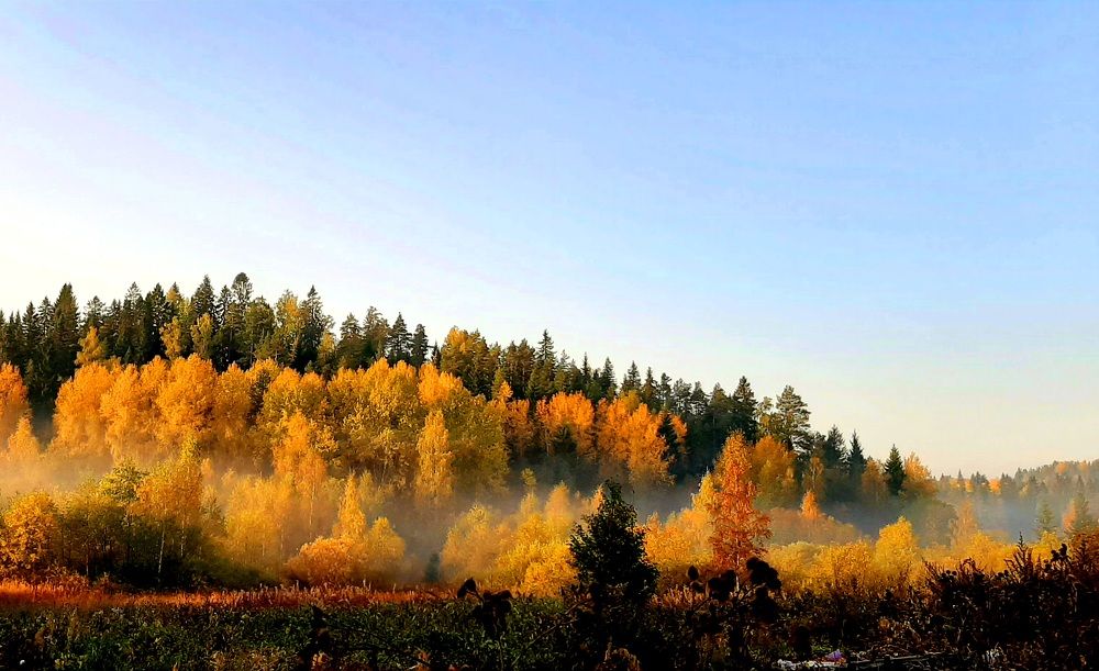 Photograph by Галина Перепечаева