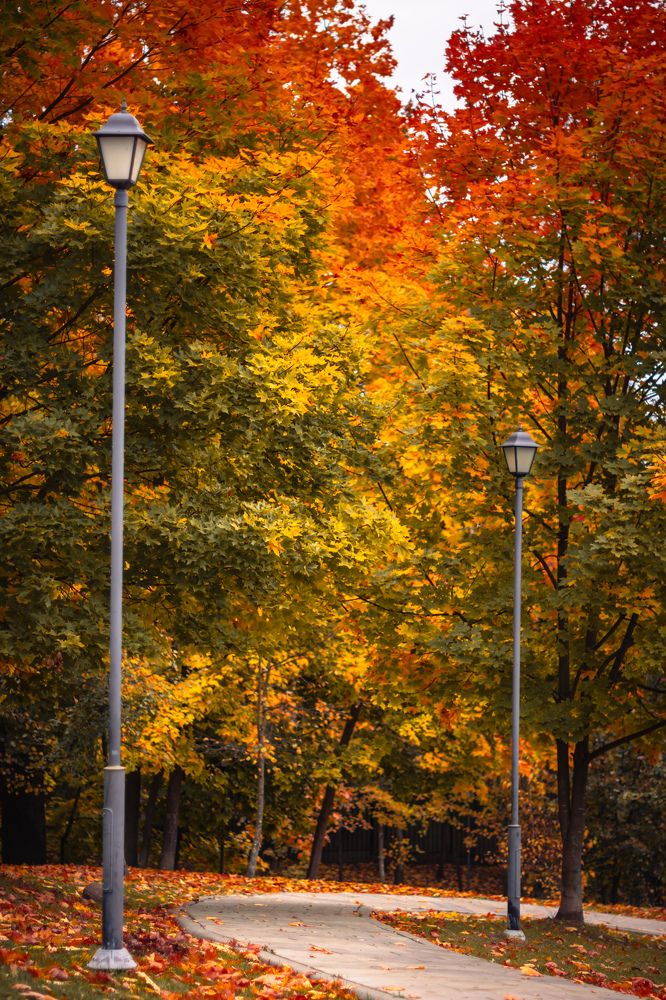 Photograph by Ольга