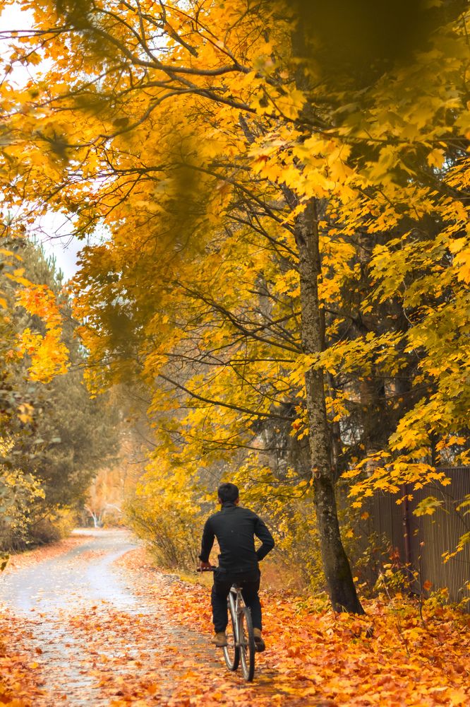 Photograph by Ольга