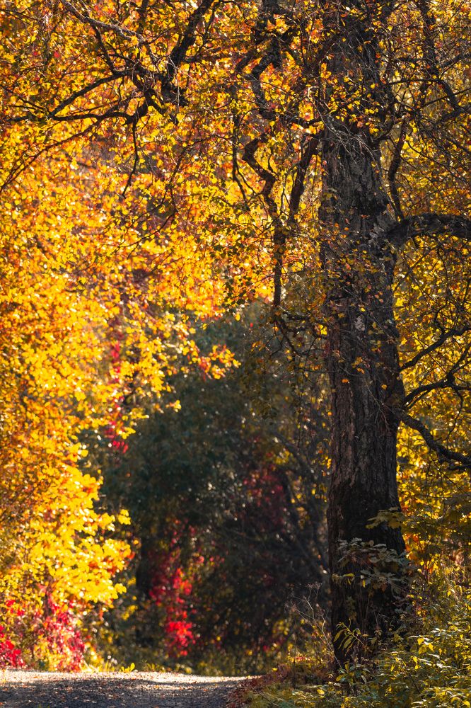 Photograph by Ольга