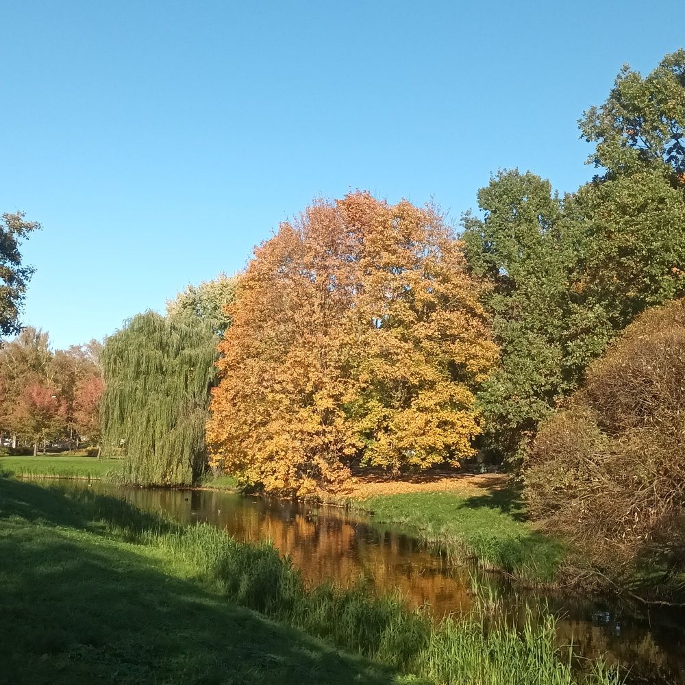 Фотография автора Maks Lanister