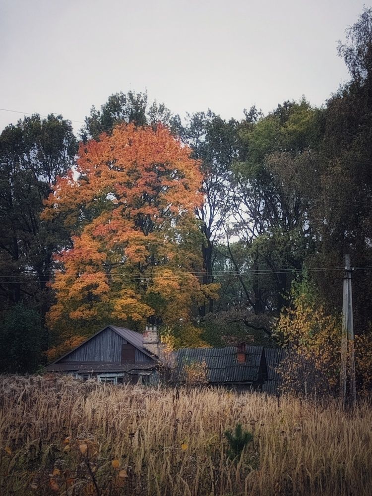 Photo #11190437