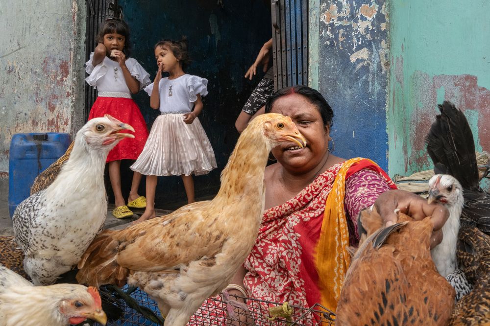 Photograph by Kuntal Biswas