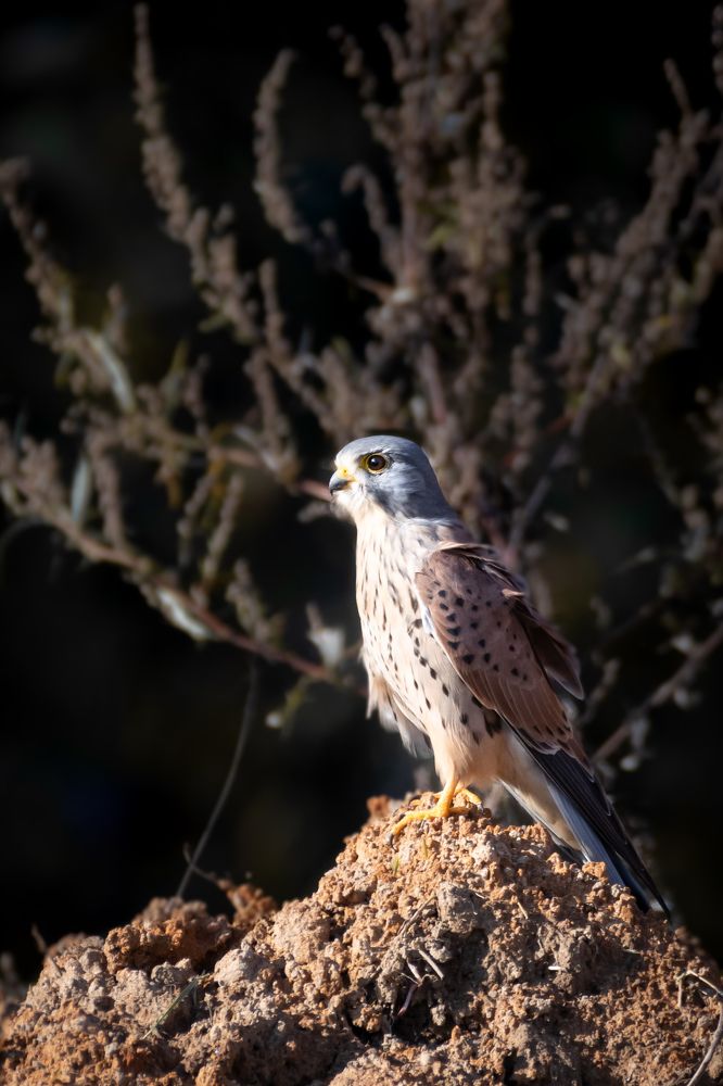 Photograph by Ольга