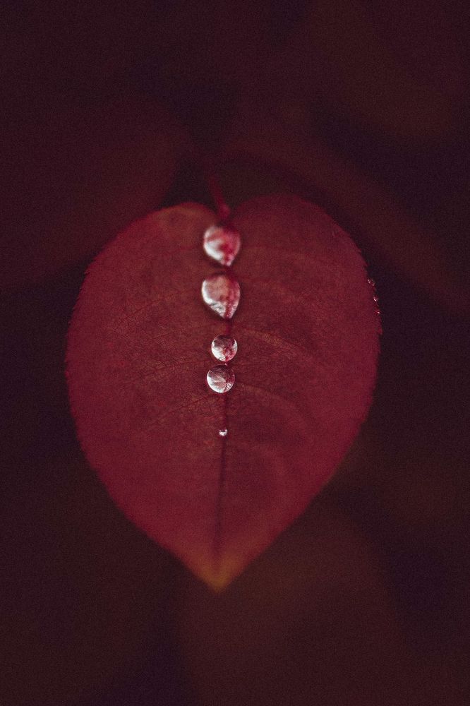 Photograph by Alexandra Sergeeva