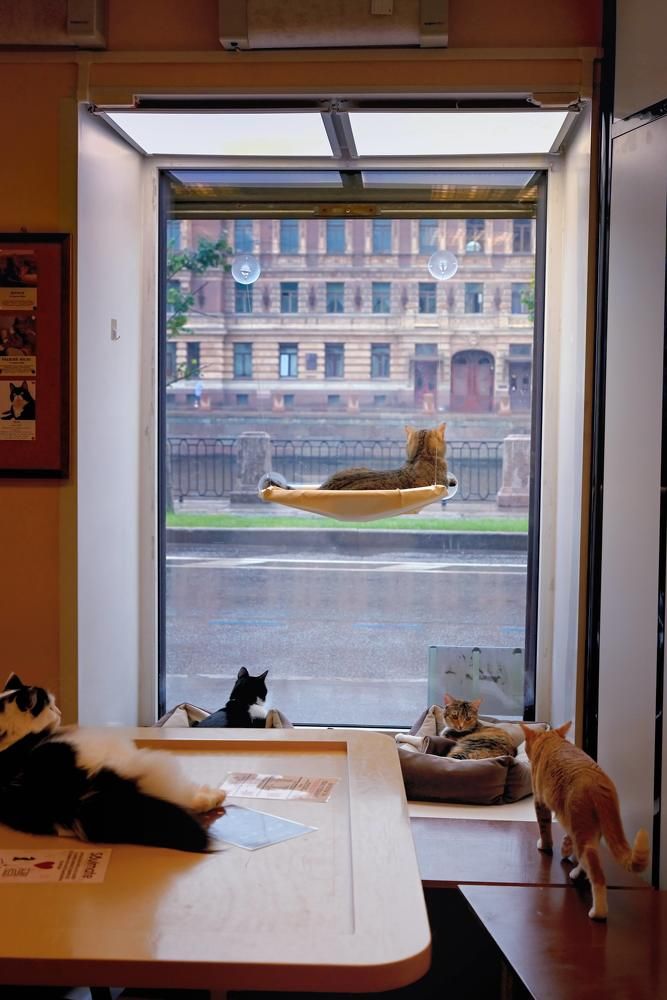 Photograph by Ирина Ященко