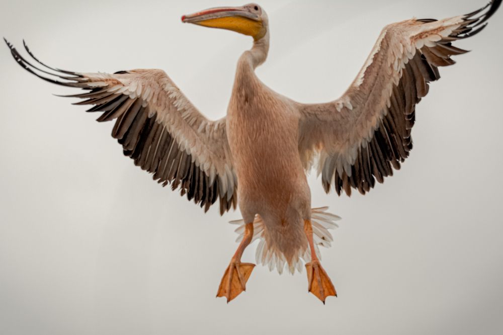 Photograph by Елена Захарова