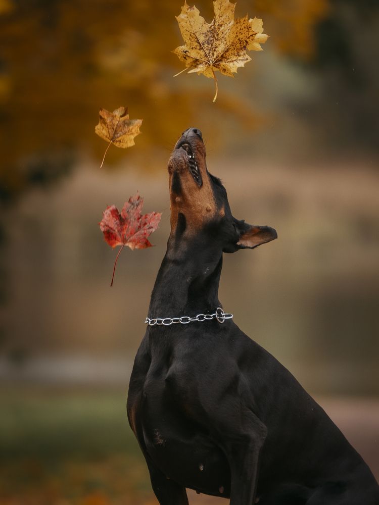 Photograph by Мария Клещенко