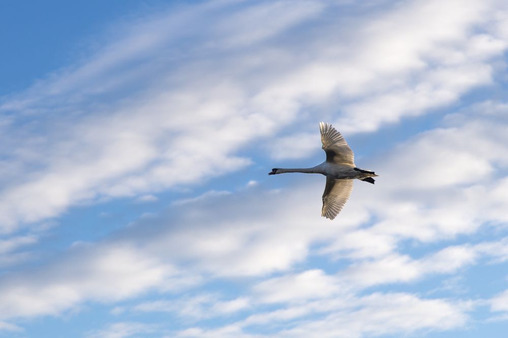 Фотография автора Виктор Громов