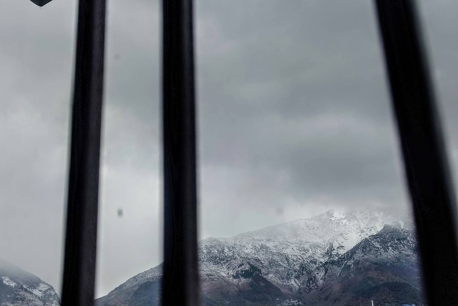 Photo #11190549