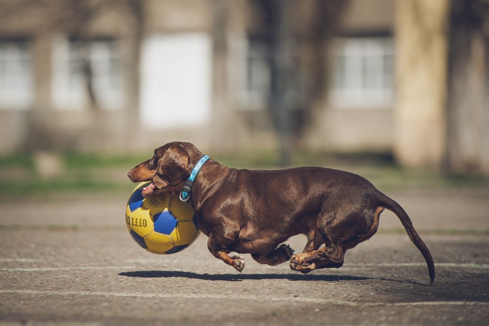 Фотография автора Ольга Тенилова