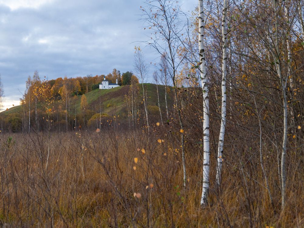 Фотография автора Виктор Громов