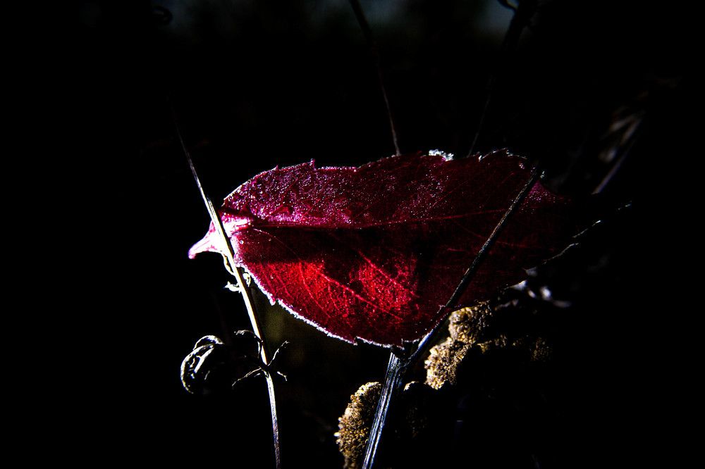 Фотография автора Ирина Гриценко