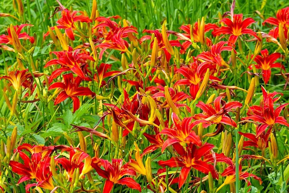 Photograph by jelena konickaja