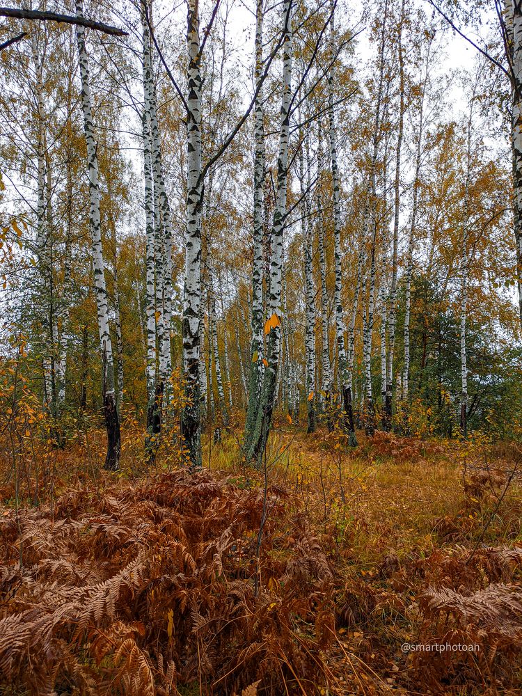 Фотография автора Александр Хухлов