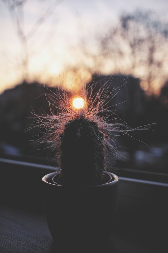 Photograph by Valentina Vasileva