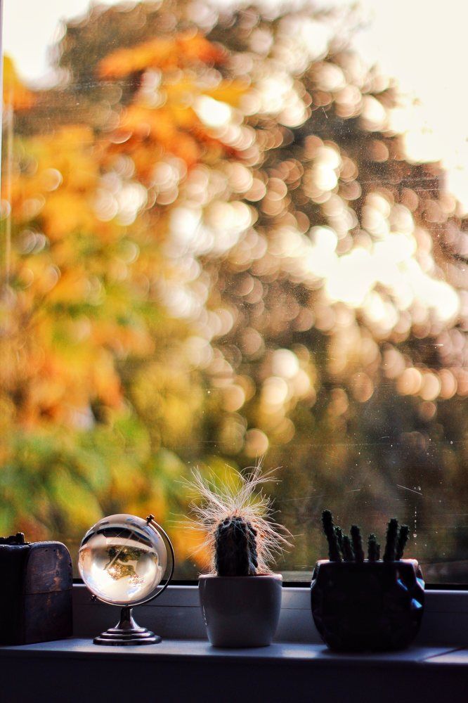 Photograph by Valentina Vasileva